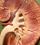 Diyalizdeki hasta sayısı on yılda ikiye katlandı!