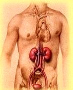 Tekrarlayan IYE böbreklere zarar verebilir