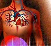 Avrupa’nın ilk ‘Dislipidemi Kılavuzu’ Türkiye’de tanıtıldı