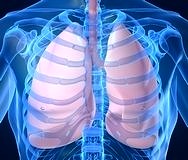 Her yıl 40 bin kişiyi KOAH nedeniyle kaybediyoruz