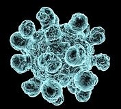 Ağır enfeksiyonlarda statin kullanılabilir mi?