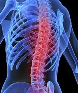 lasofoksifen_osteoporoz