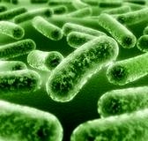 Asit baskılayıcı ilaçlar pnömoni riskini artırabilir!