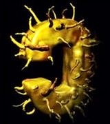 Yeni Hepatit C ilacı Telaprevir, Türkiye’de de kullanıma girdi