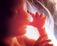 TJOD, Kürtaj ve etik konusunda kapsamlı bir çalışma yayınladı