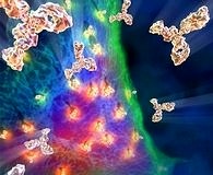 Multipl Skleroz’da interferon ile erken tedavi etkili mi?