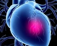 Kanser hastalarında kalbi korumak sağkalımı arttırır