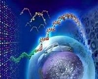 Alerjisi olanların beyin tümörü riski daha mı az?