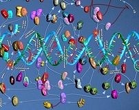 Meme kanserinde düşük oksijenle yeni bir tedavi imkanı