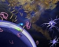 Diyabet demans riskini önemli düzeyde artırabilir