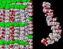 Alzheimer’da plak oluşumunun artış nedeni saptandı!