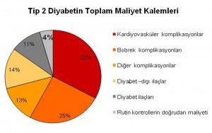 diyabet_maliyet_tablo