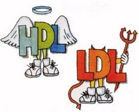 hdl-ldl