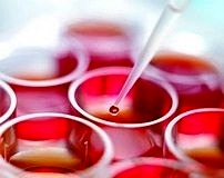 Antitümör etkili kanser kök hücre aşısı mümkün mü?