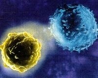 Kanser ve diyabet aynı biyolojiyi paylaşıyor