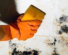 sagliginiz kuflenmesin 5