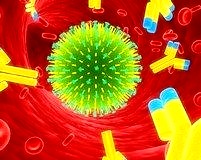 Çapraz koruyucu ‘Evrensel’ grip aşısına bir adım kaldı!