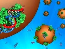 Moleküler belirteçler kanserin yayılmasını öngörebilir!