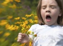 Little Girl Sneezing