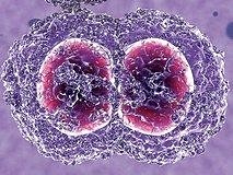 Bulaşıcı hastalıkların tedavisinde yeni strateji…