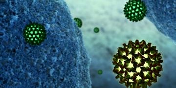 Hepatit B’nin belirtileri nelerdir?