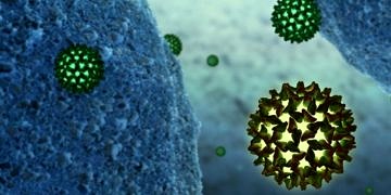 Hepatit B’nin belirtileri nelerdir?