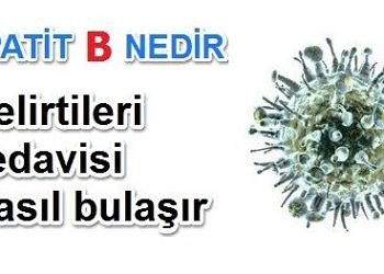 Hepatit B tedavisi