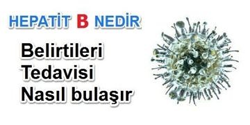 Hepatit B tedavisi