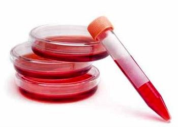 Hepatit B’de tedavi uyumu ve devamlılığı
