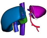 aaabms-katagori-resmi