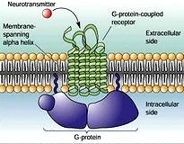 Hipoglisemiyi arttırmadan glikoz kontrolü sağlayan ilaç