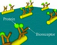 Gizli patojenlerin tespiti için yeni bir nanotest yapıldı!