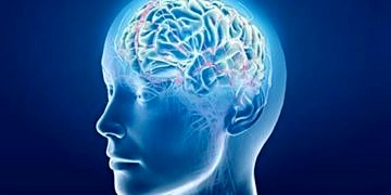 Denge kaybı ve bulanık görme beyin tümörü habercisi olabilir