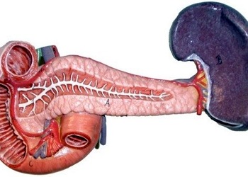 Splenektomi gerektiren hastalıklar