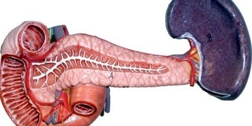 Splenektomi gerektiren hastalıklar