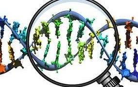 Meme kanserinde nüks riski hormon reseptörlerle saptanabilir mi?