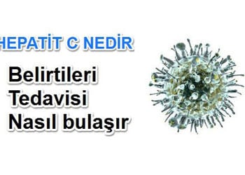 Hepatit C nedir? Nasıl bulaşır? Belirtileri ve tedavisi