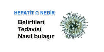 Hepatit C nedir? Nasıl bulaşır? Belirtileri ve tedavisi