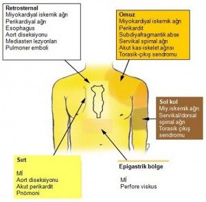 kardiyovaskaler-memptomlar3