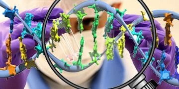 Meme kanserinde nüks riski hormon reseptörlerle saptanabilir mi?