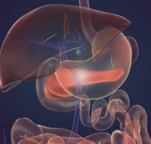 cerrahi-sarilik-karaciger