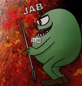 e-koli-coli-bakteri