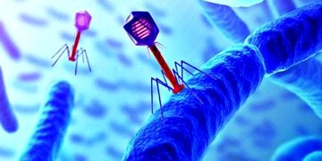 Kalp hücreleri gen enjeksiyonuyla ‘Biyolojik Pacemaker’a dönüştürüldü!