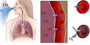 Acil müdahale; boğulma, zehirlenme, sokulma