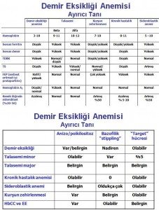 demir-eksikligi-anemisi3