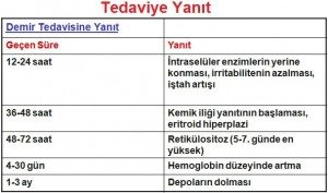 demir-eksikligi-anemisi4