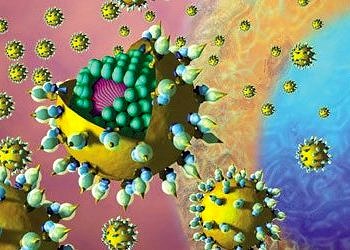 Hepatit C’de doğru hastaya doğru tedavi ile başarı %96’ya çıkıyor