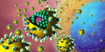 Hepatit C’de doğru hastaya doğru tedavi ile başarı %96’ya çıkıyor