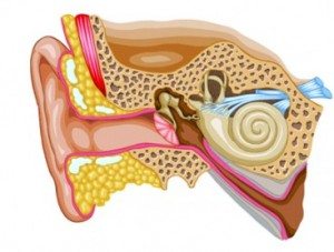 Tinnitus kulak çınlaması