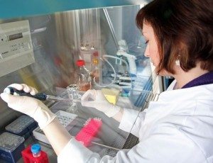 Promising stem cell therapy for leukemia patients